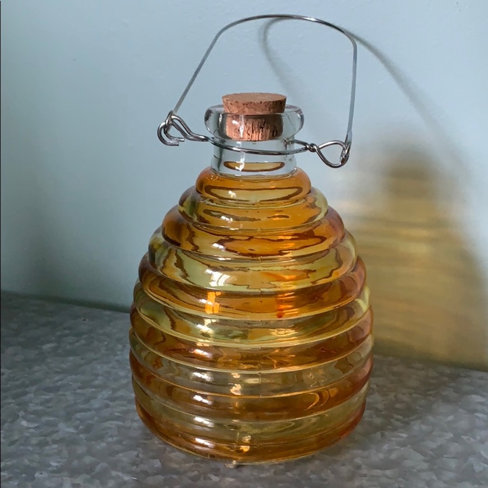 Bee/Fly/Wasp Catcher Jar